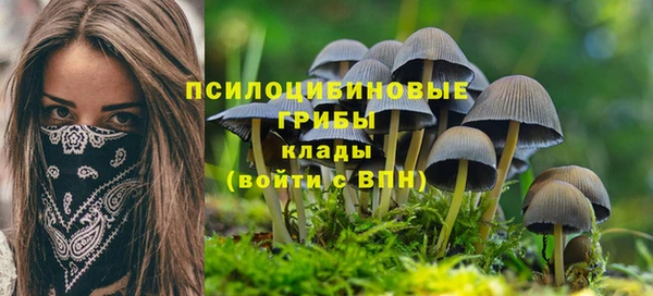 метамфетамин Белокуриха