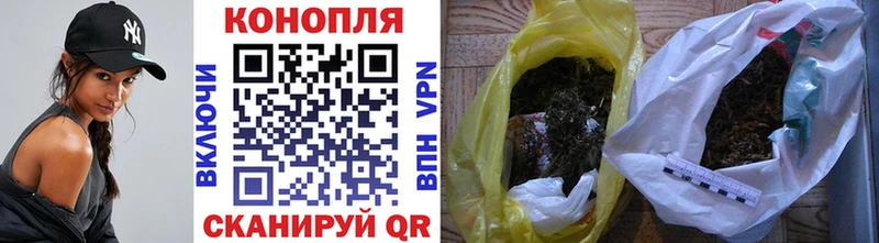 Бошки марихуана THC 21%  Моздок 